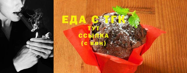 хмурый Абаза