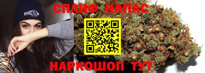 стафф Шахты
