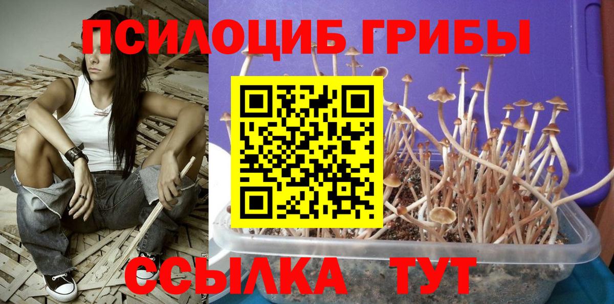 Галлюциногенные грибы ЛСД  купить наркотик  Одинцово  Вход с VPN  Галлюциногенные грибы ЛСД 